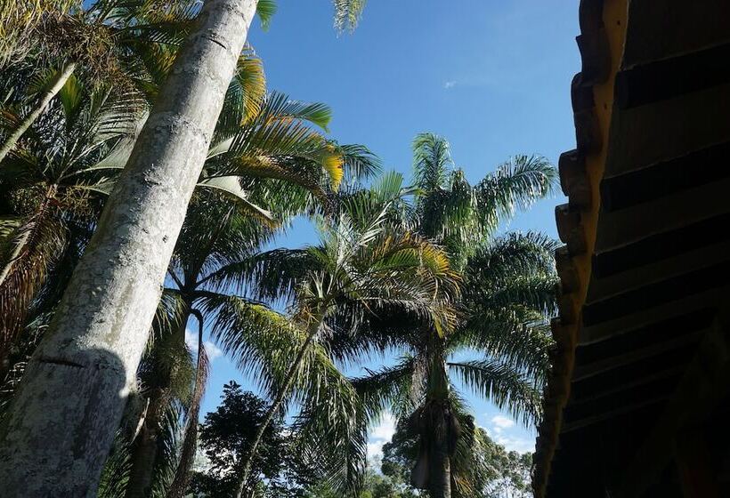 Отель Palma Real Coliving