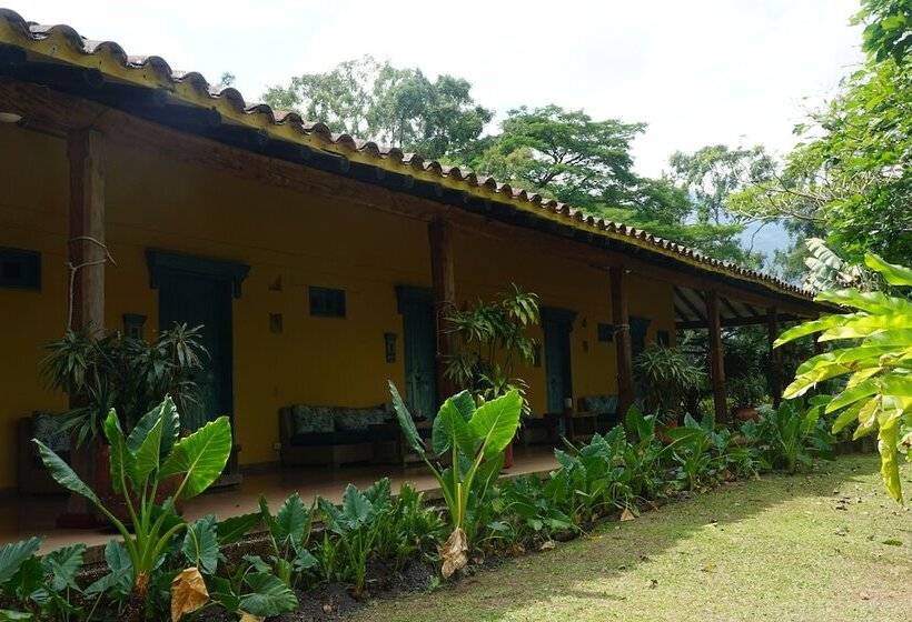 Отель Palma Real Coliving