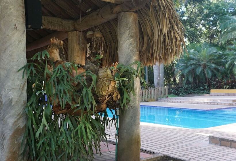 Отель Palma Real Coliving