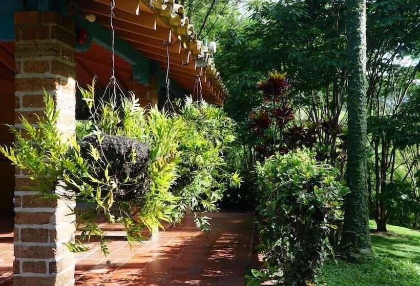 Отель Palma Real Coliving