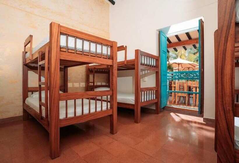 Отель Palma Real Coliving