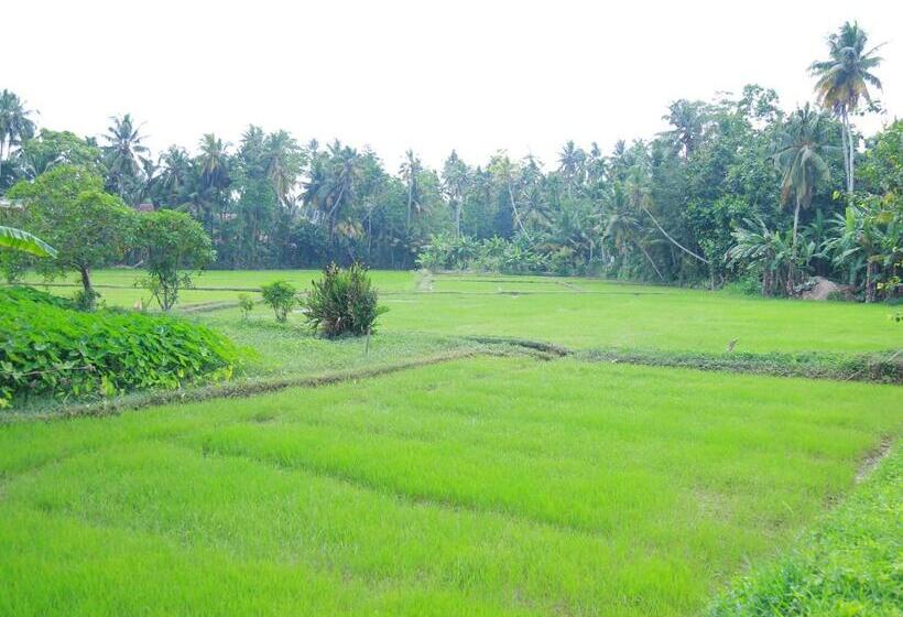 ホテル Peacock Heaven Ahangama