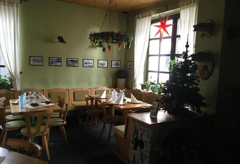 호텔 Pension Gasthaus Zur Forelle