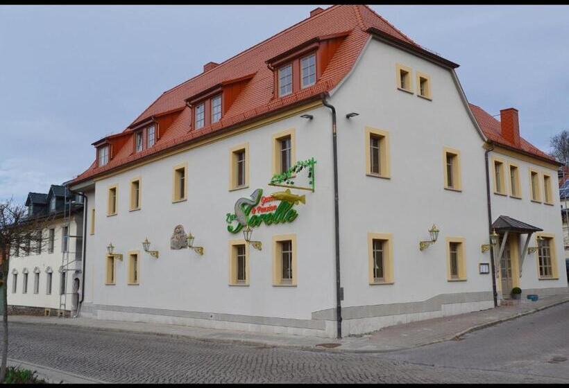 호텔 Pension Gasthaus Zur Forelle