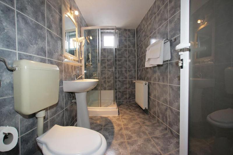 בית מלון כפרי Pensiunea Confort