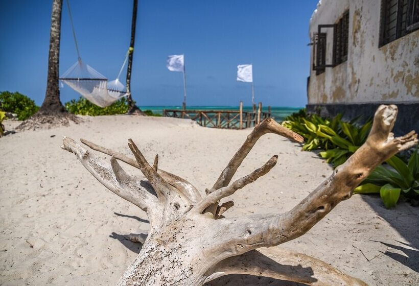 酒店 Pili Pili Boutique Lodge