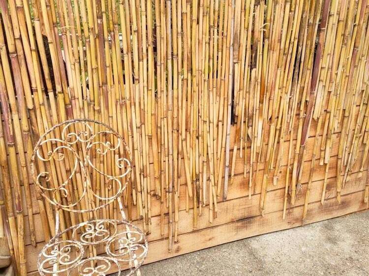 هتل Purkinora Bungalov