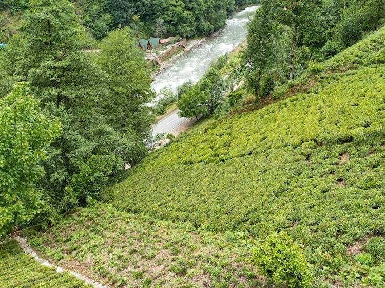 هتل Purkinora Bungalov