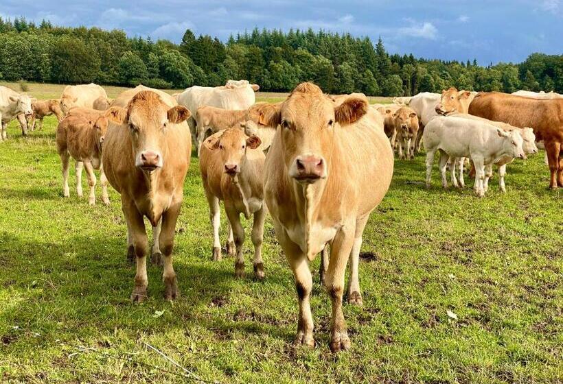 ホテル Quiétude à La Ferme