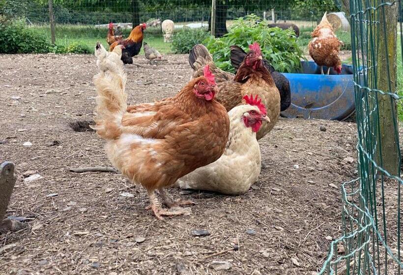 ホテル Quiétude à La Ferme