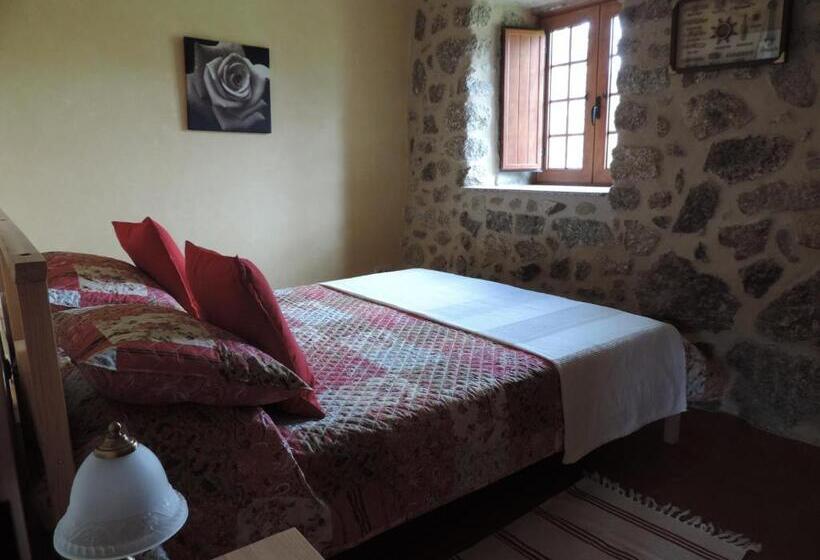 Отель Rosa Y Gardenia   Solo Adultos