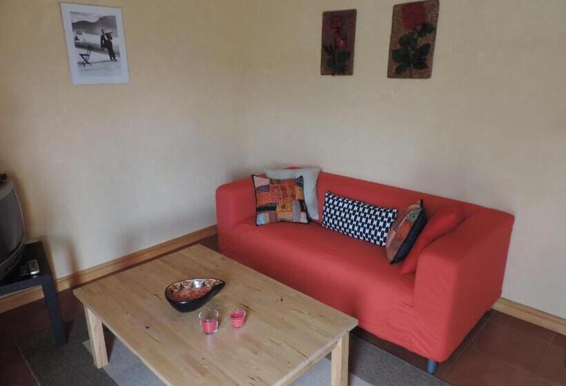 Отель Rosa Y Gardenia   Solo Adultos