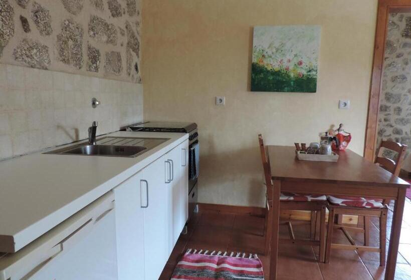 Отель Rosa Y Gardenia   Solo Adultos