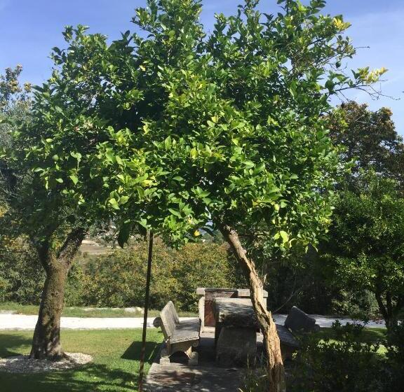 Отель Rosa Y Gardenia   Solo Adultos