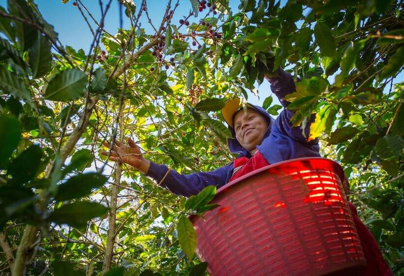 فندق Tamì Lodge