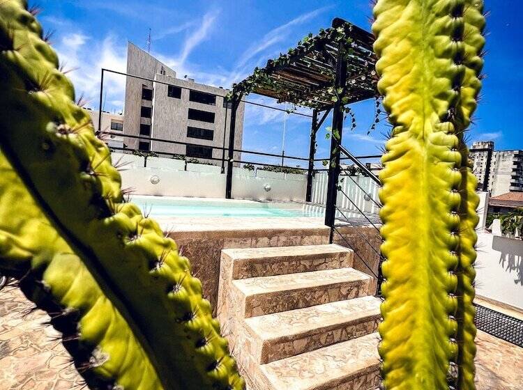 Отель The Orange House