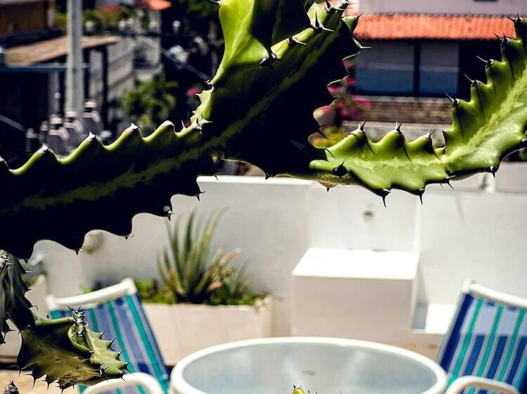 Отель The Orange House