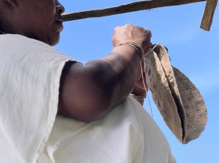 Отель The Orange House