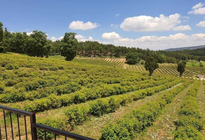 La Vie En Rose Otel By Söğütdağı