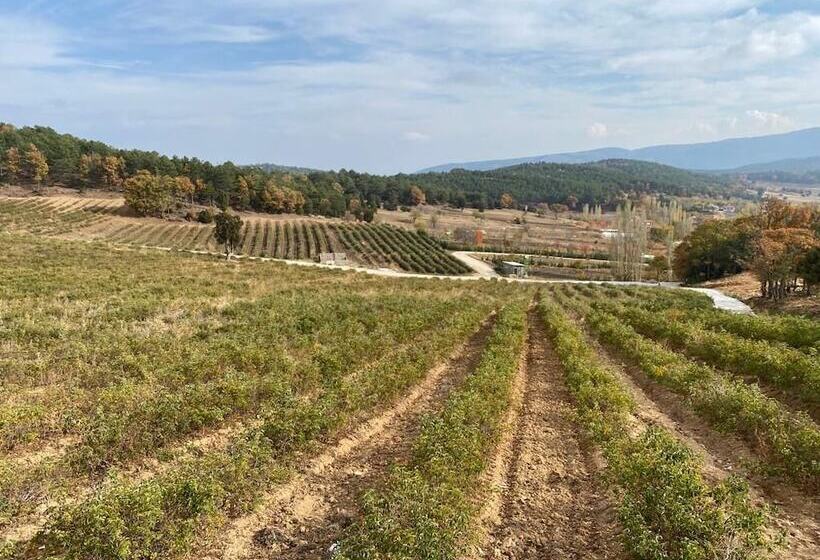 La Vie En Rose Otel By Söğütdağı