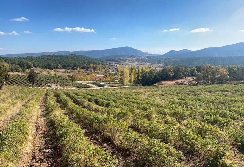 La Vie En Rose Otel By Söğütdağı