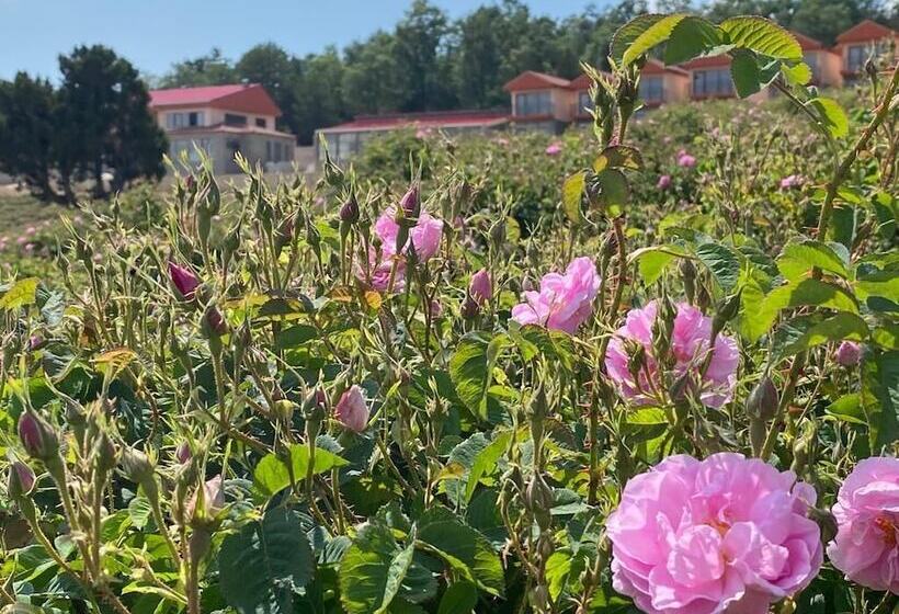 La Vie En Rose Otel By Söğütdağı