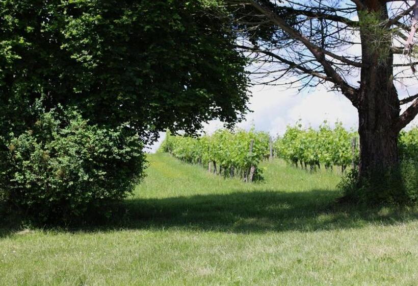 Le Domaine Du Bel Air B&b