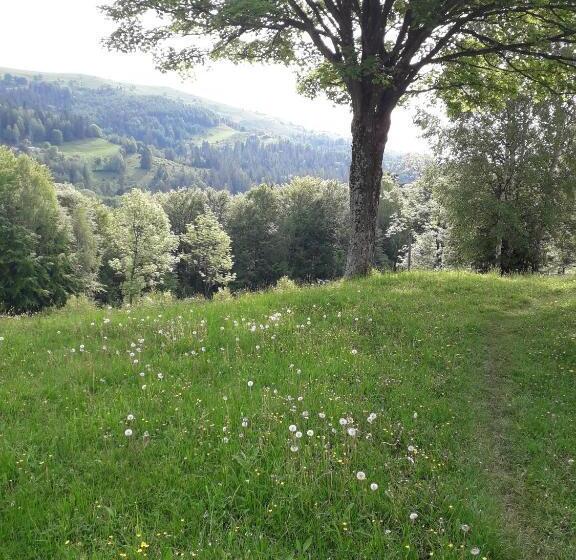 펜션 заграйка