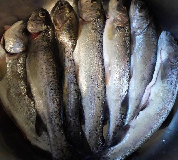 펜션 заграйка