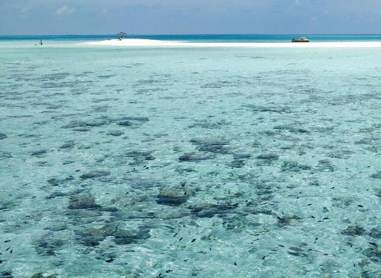 پانسیون Akiri Surf Retreat