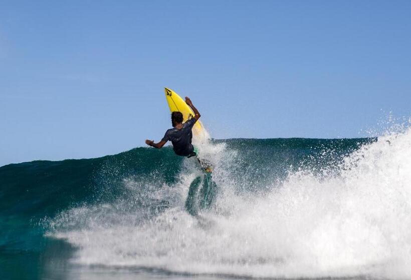 پانسیون Akiri Surf Retreat