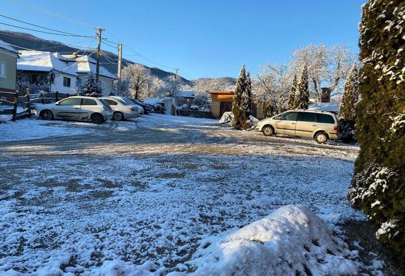 ペンション Bodrogeni Căsuțe