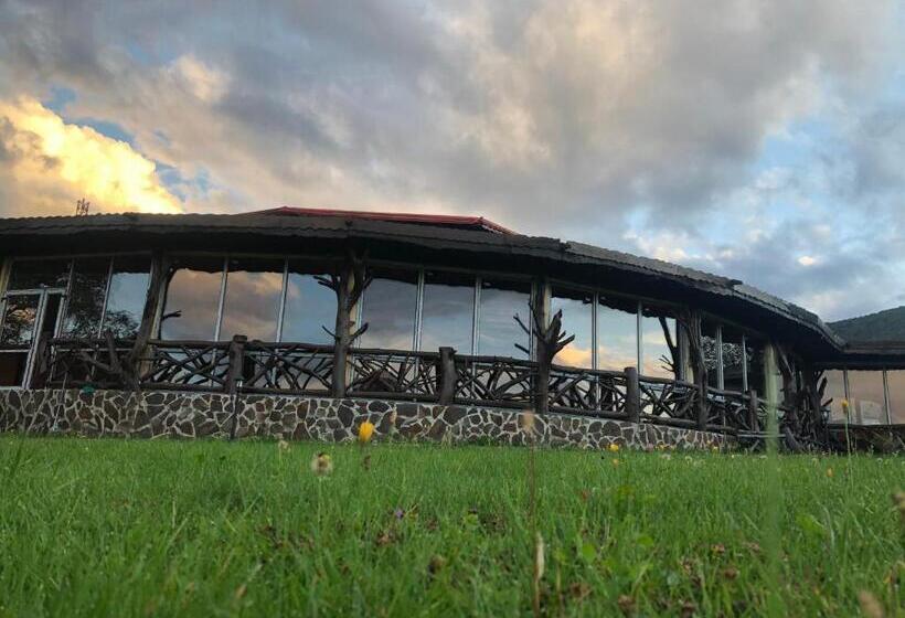 פנסיון Bodrogeni Căsuțe