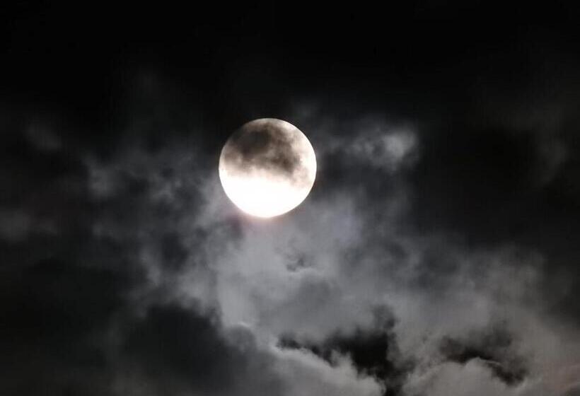 بنسيون Bodrogeni Căsuțe