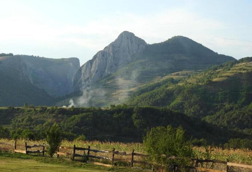 ペンション Bodrogeni Căsuțe