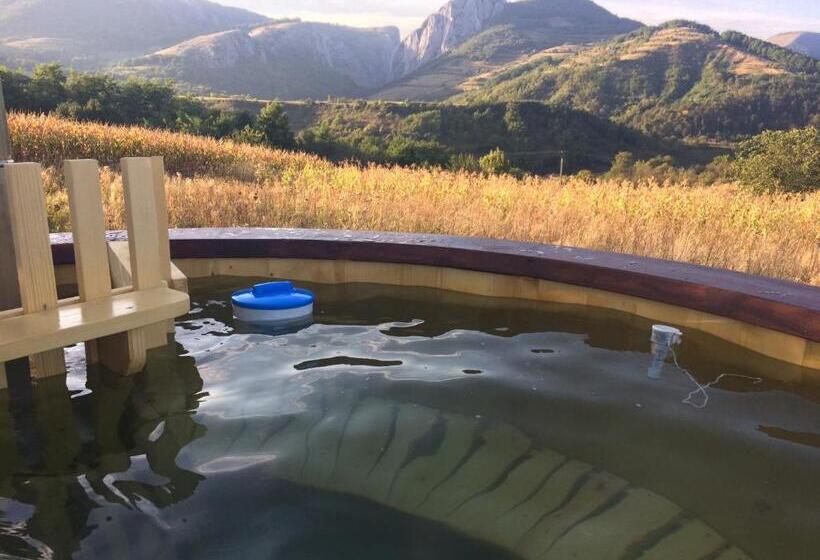 פנסיון Bodrogeni Căsuțe