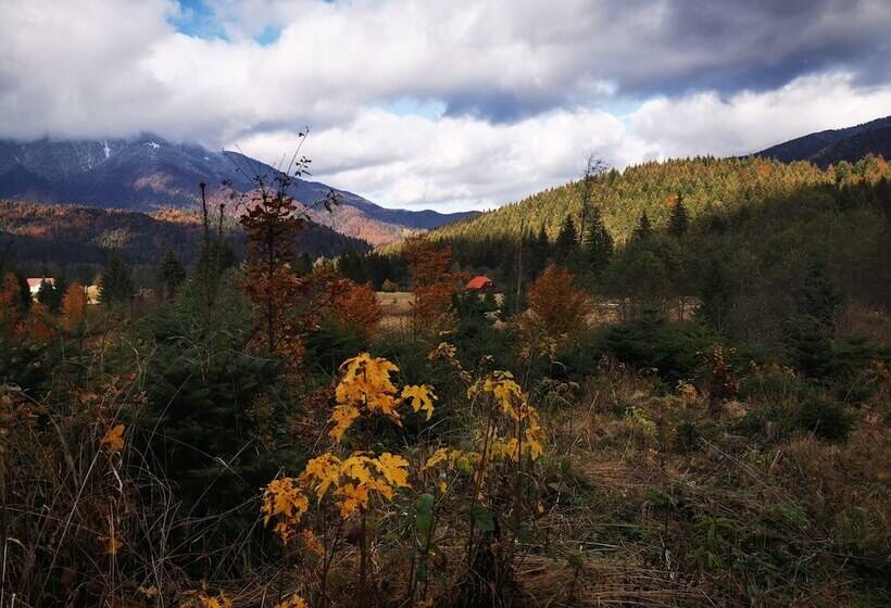 펜션 Casa De Vacanta Predeal