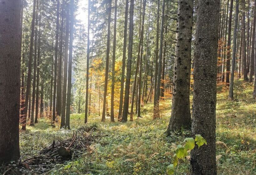 펜션 Casa De Vacanta Predeal