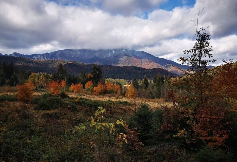 펜션 Casa De Vacanta Predeal