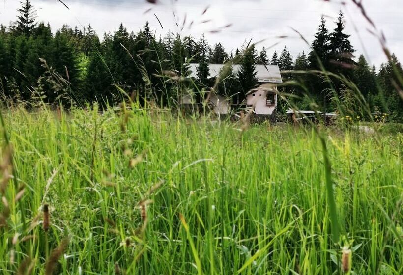 펜션 Casa De Vacanta Predeal