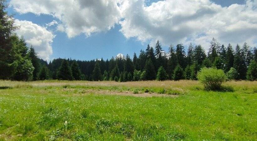 펜션 Casa De Vacanta Predeal