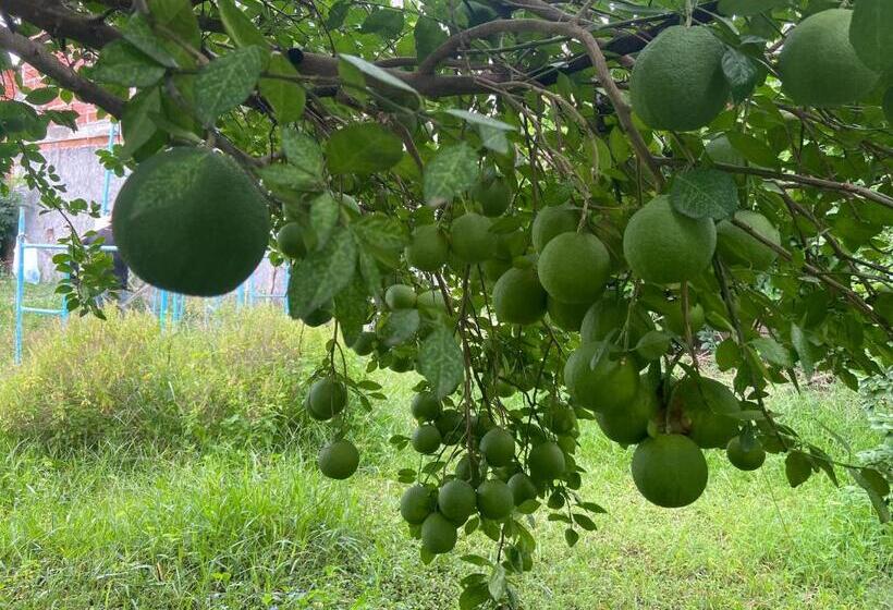 ペンション Casafinca Turbaco En Mompox Con Parqueadero
