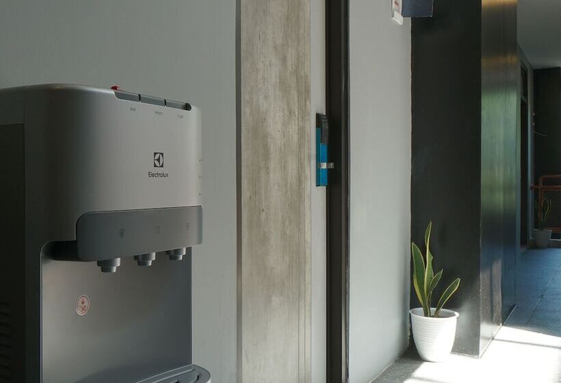 膳宿费 Dparagon Matraman