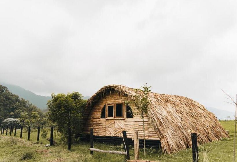 ペンション La Laguna Hostal