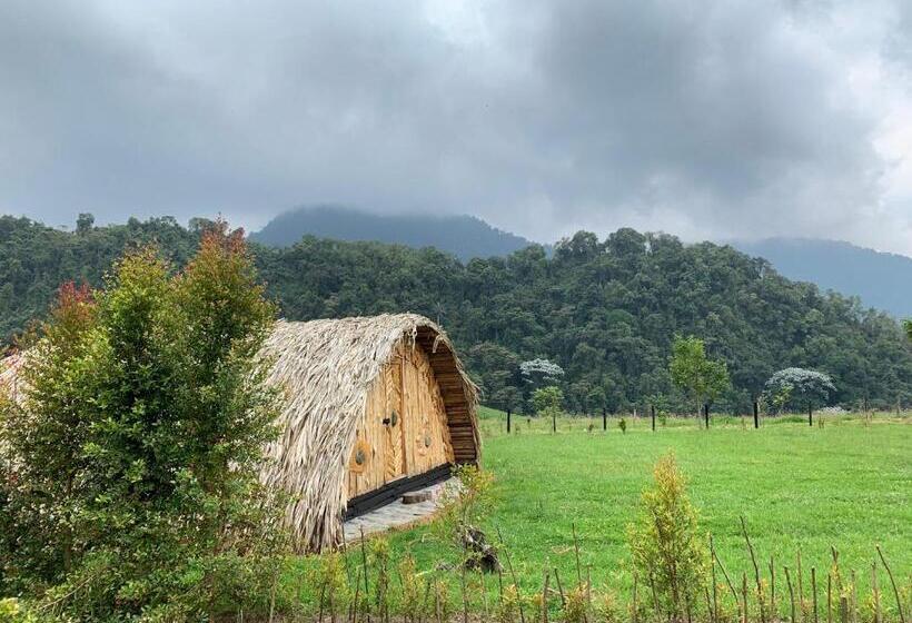 ペンション La Laguna Hostal