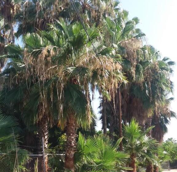 פנסיון La Playita Hostal