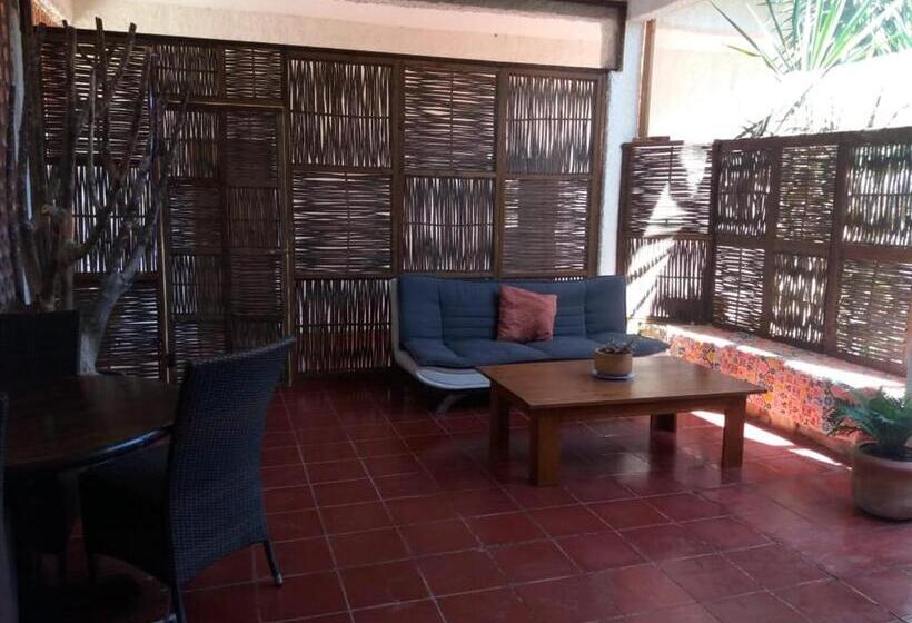 פנסיון La Playita Hostal