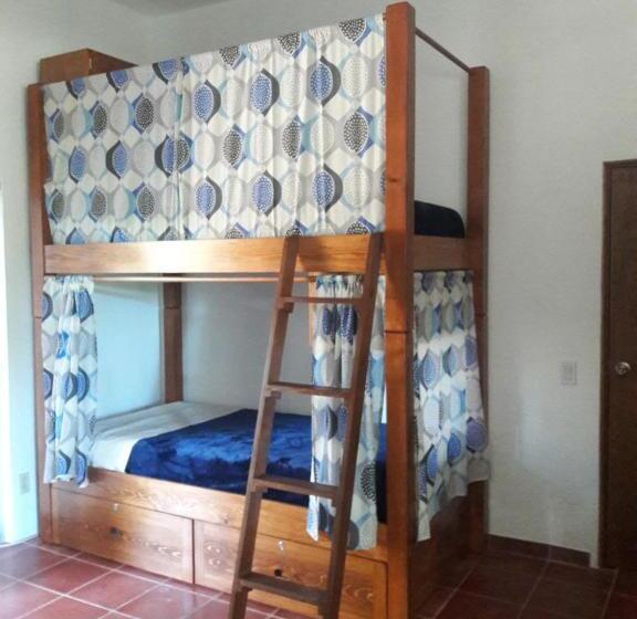 פנסיון La Playita Hostal