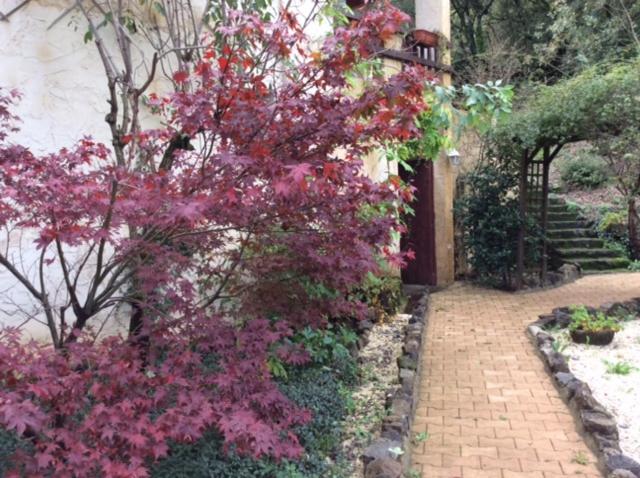 بنسيون Les Jardins De Valaurie