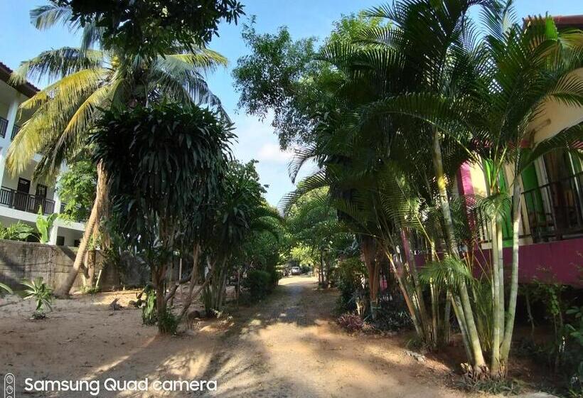 פנסיון Mae Somboon House